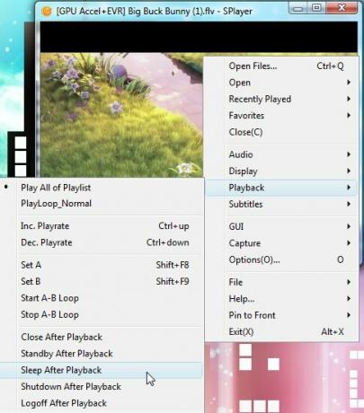 Mängija – kaasaskantav Play-All Media Player Windows 4 jaoks
