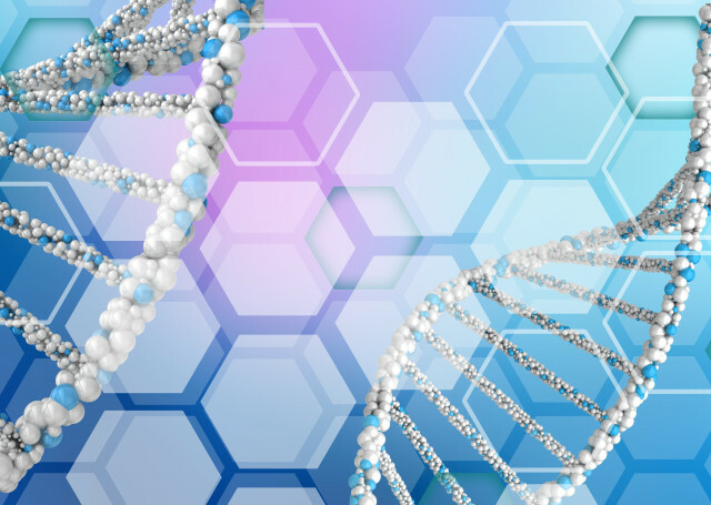 DNA molekul