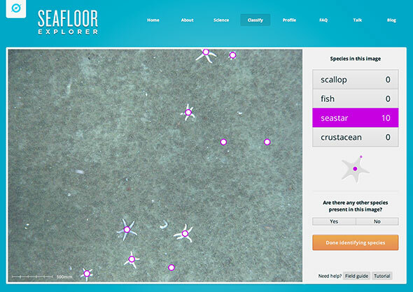 zooniverse projekt