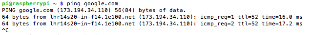 ping-google
