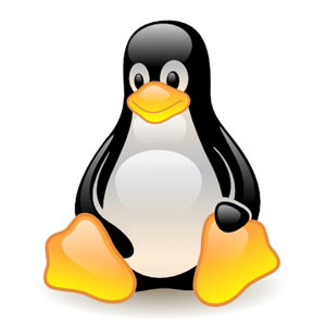 linux käsud