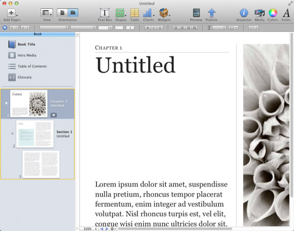 Ibooks autor 1