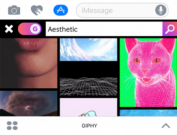 giphy imago