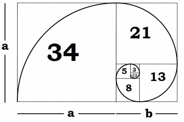 fibonacci-spiraal-seletus