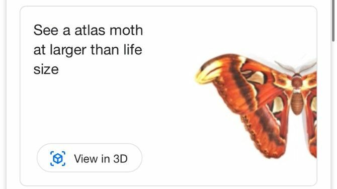 Google AR-i otsingumootor Moth