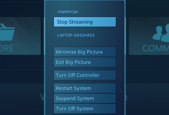 Peatage Steam Link vaarikupiilil