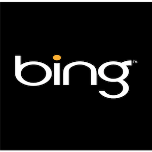 Bing tutvustab tüüpilist otsimist - kas see töötab? [Uudised] bing 1