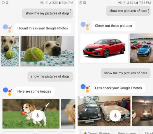 google assistent google fotod