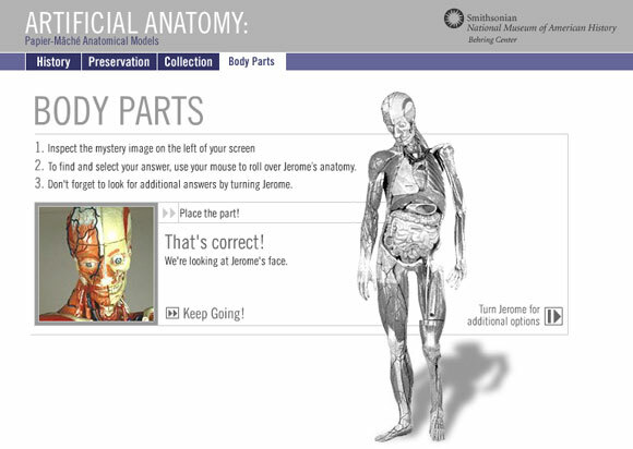 interaktiivne anatoomia