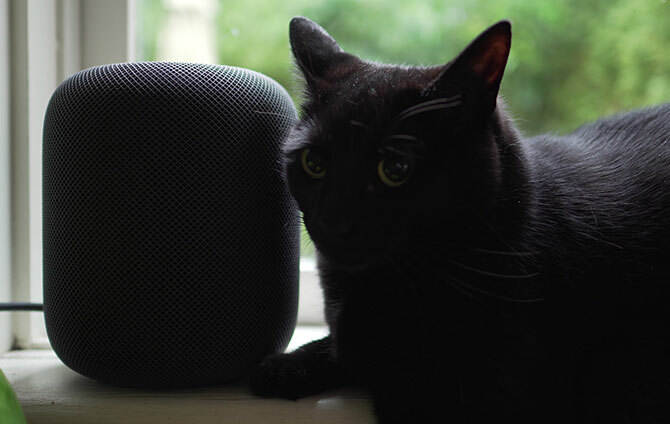 õuna homepod kõik, mida peab teadma