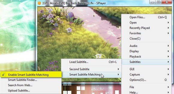 Mängija – kaasaskantav Play-All Media Player operatsioonisüsteemile Windows 6