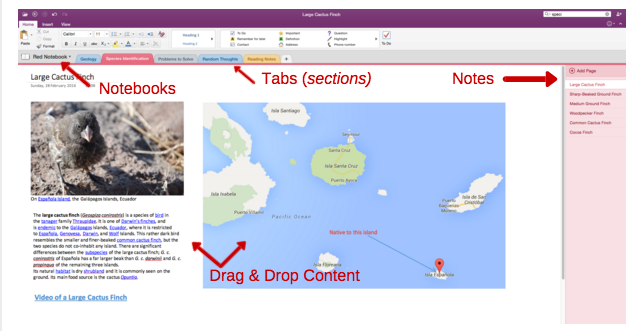 OneNote'i organisatsiooni näite ekraanipilt