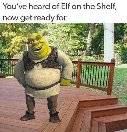 Elf riiulis Meme Shrek