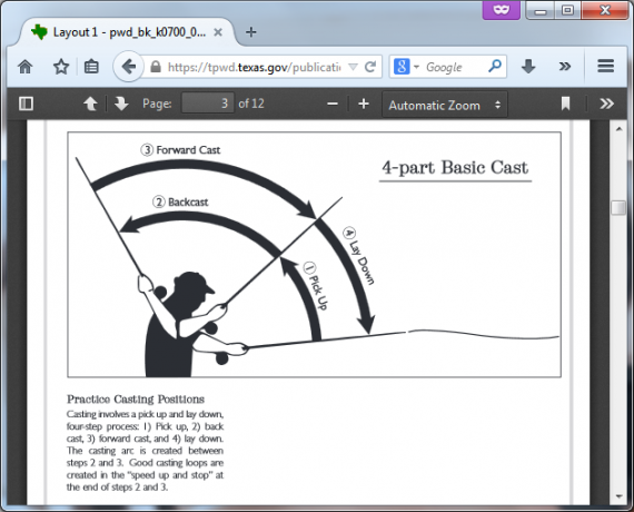 brauser pdf