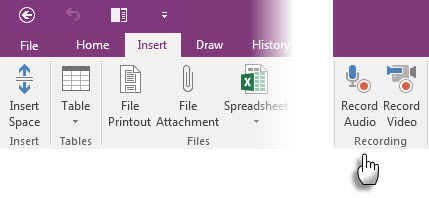 Microsoft OneNote - helimärkmed